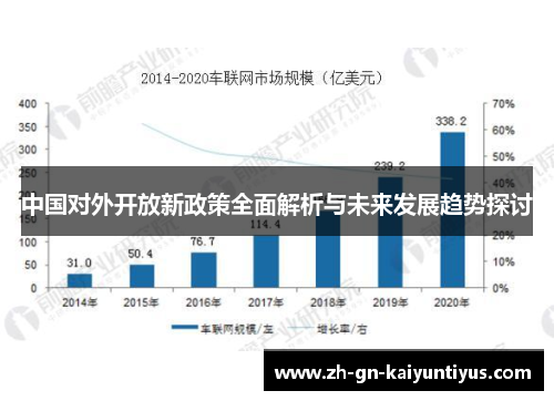 中国对外开放新政策全面解析与未来发展趋势探讨