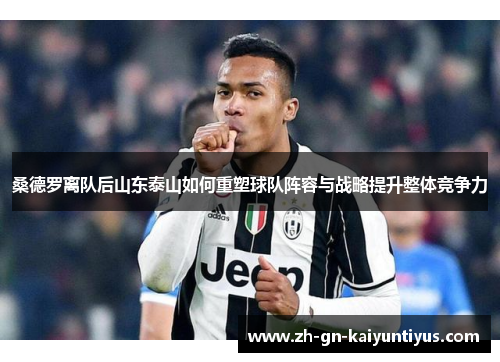桑德罗离队后山东泰山如何重塑球队阵容与战略提升整体竞争力