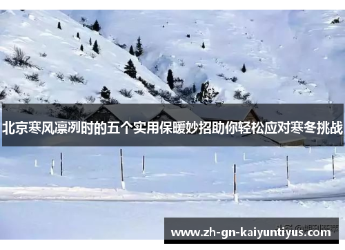 北京寒风凛冽时的五个实用保暖妙招助你轻松应对寒冬挑战