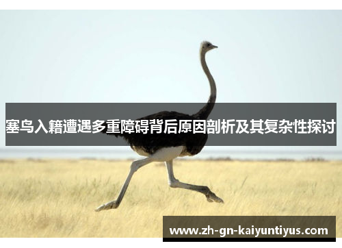 塞鸟入籍遭遇多重障碍背后原因剖析及其复杂性探讨