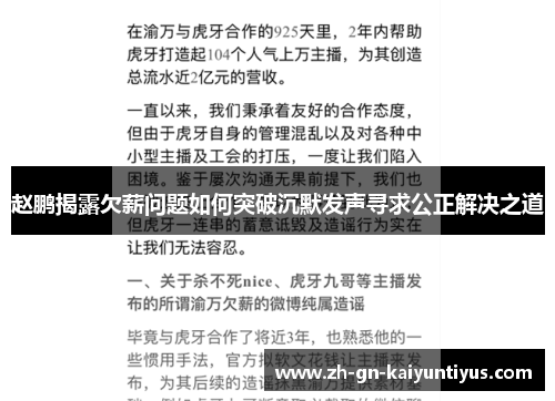 赵鹏揭露欠薪问题如何突破沉默发声寻求公正解决之道