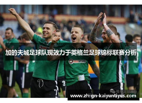 加的夫城足球队现效力于英格兰足球锦标联赛分析