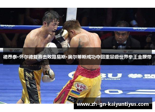 德昂泰·怀尔德复赛击败路易斯·奥尔蒂斯成功夺回重量级世界拳王金腰带 德昂泰·怀尔德复赛击败路易斯·奥尔蒂斯成功夺回重量级世界拳王金腰带