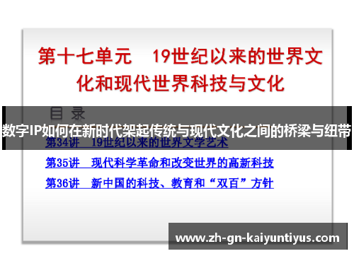 数字IP如何在新时代架起传统与现代文化之间的桥梁与纽带